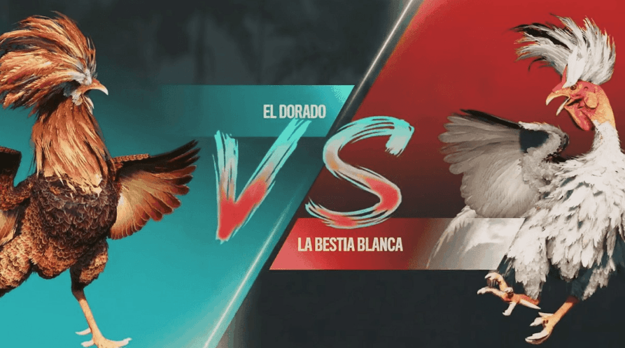 7u Slots Apostas